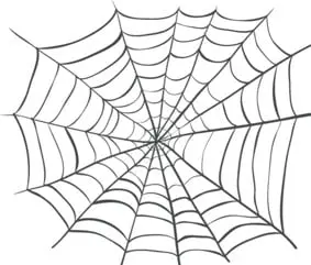 SpiderWeb DoctorB