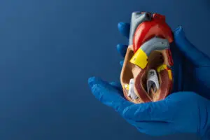 Використання методу «Озаки» для заміни аортального клапана