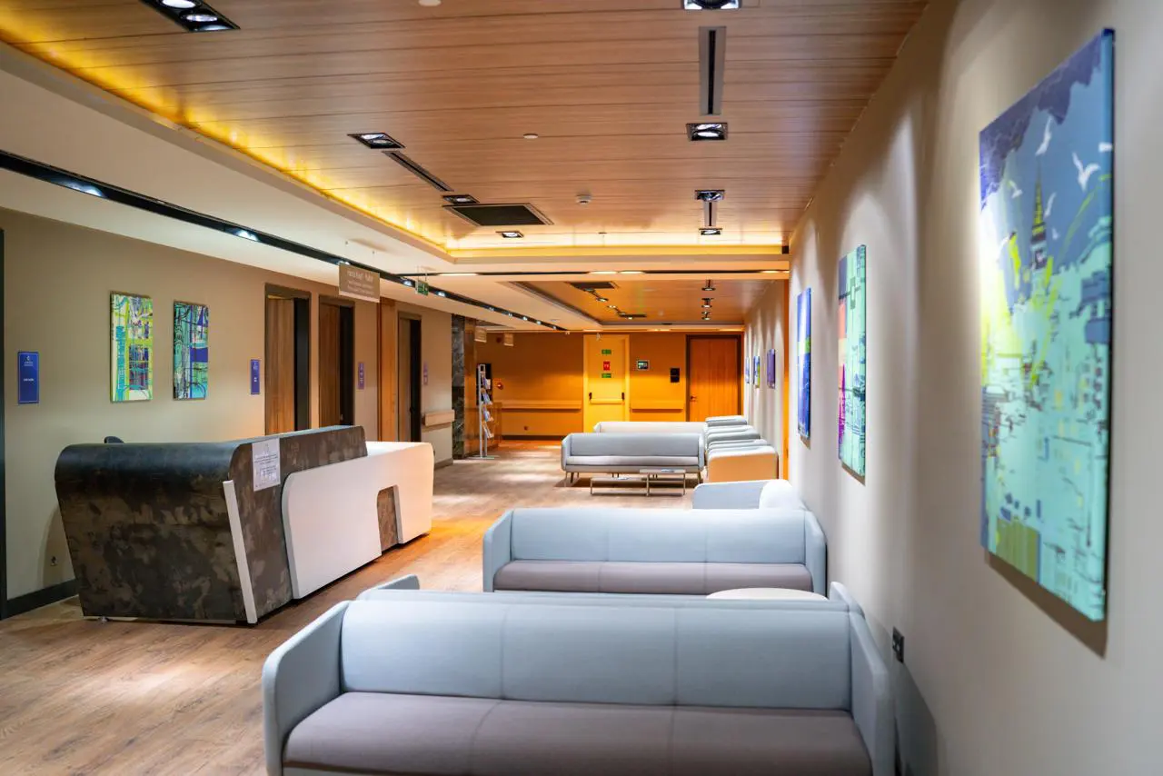 Центральная больница Etiler